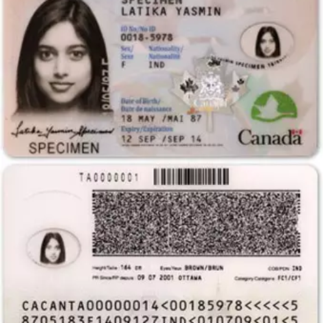 Buy-fake-Canadian-ID-card-online1