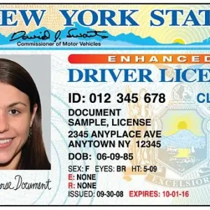 USA Driver's License